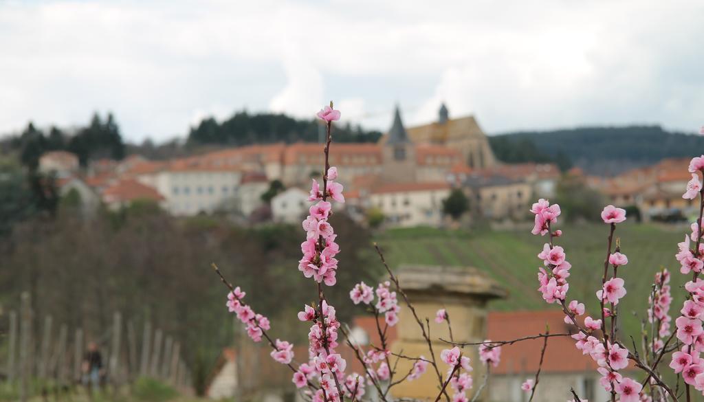 Gites Le Lancelot Ambierle 외부 사진